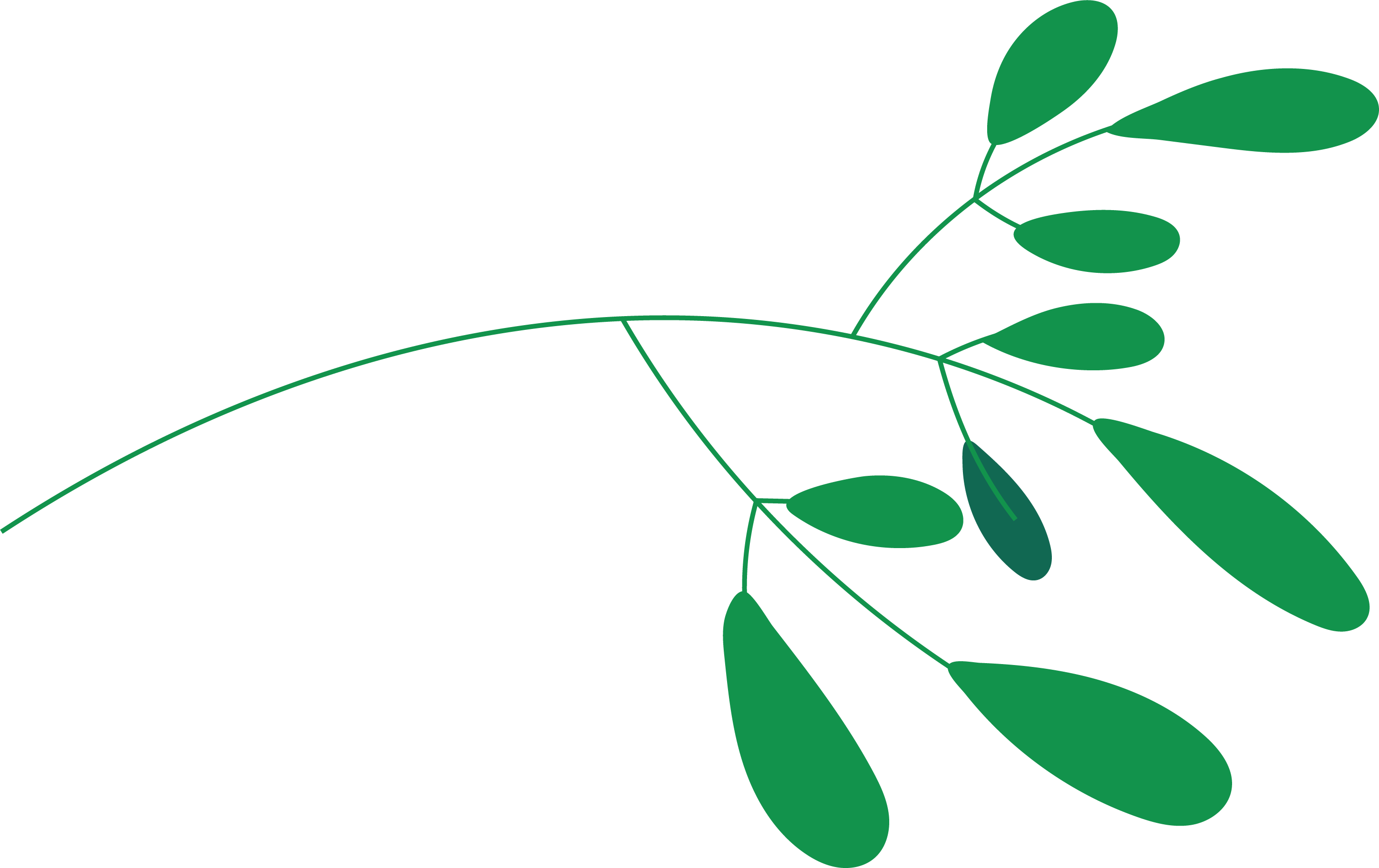 Branch